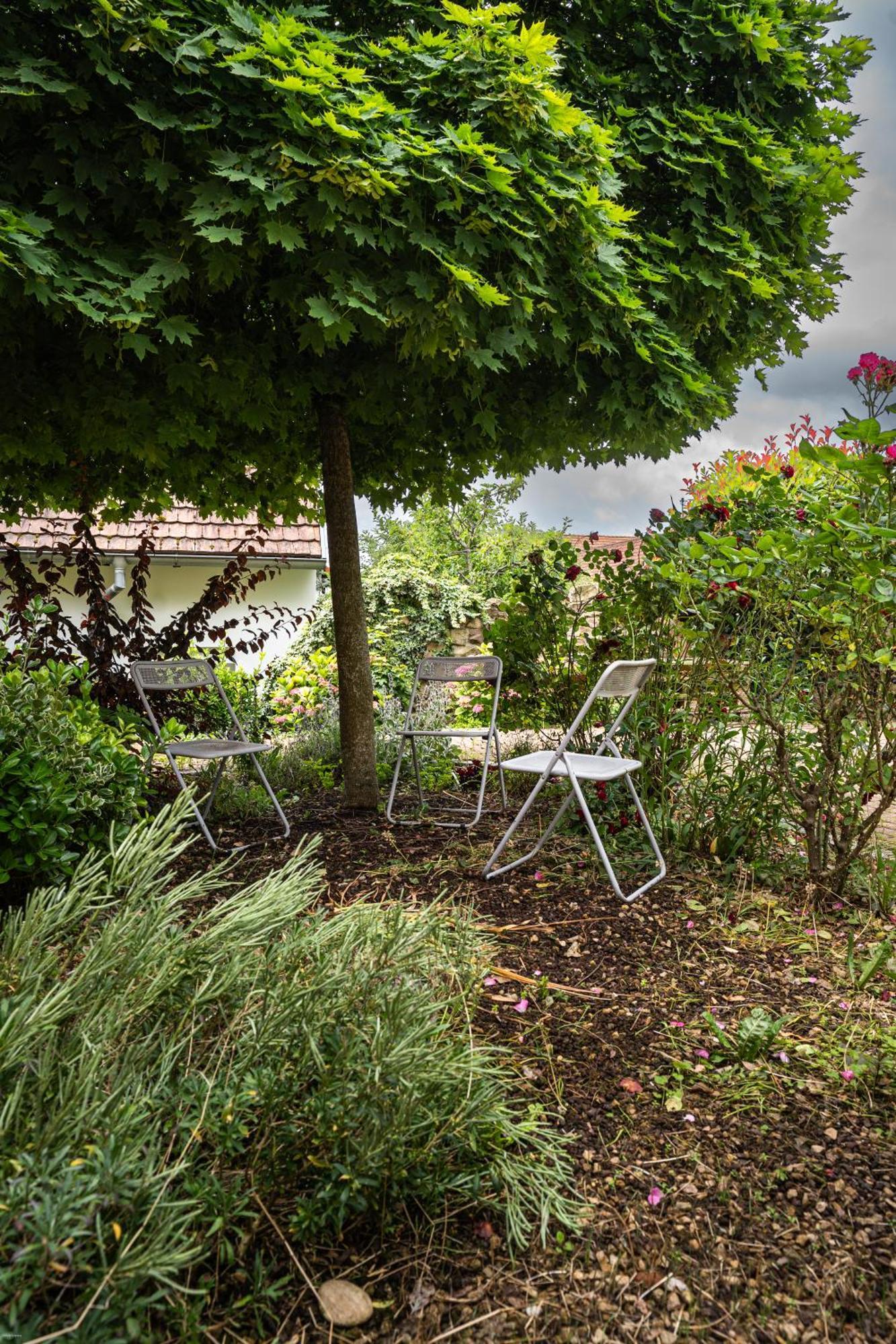 Le Gite 'Humulus' Bilwisheim Extérieur photo
