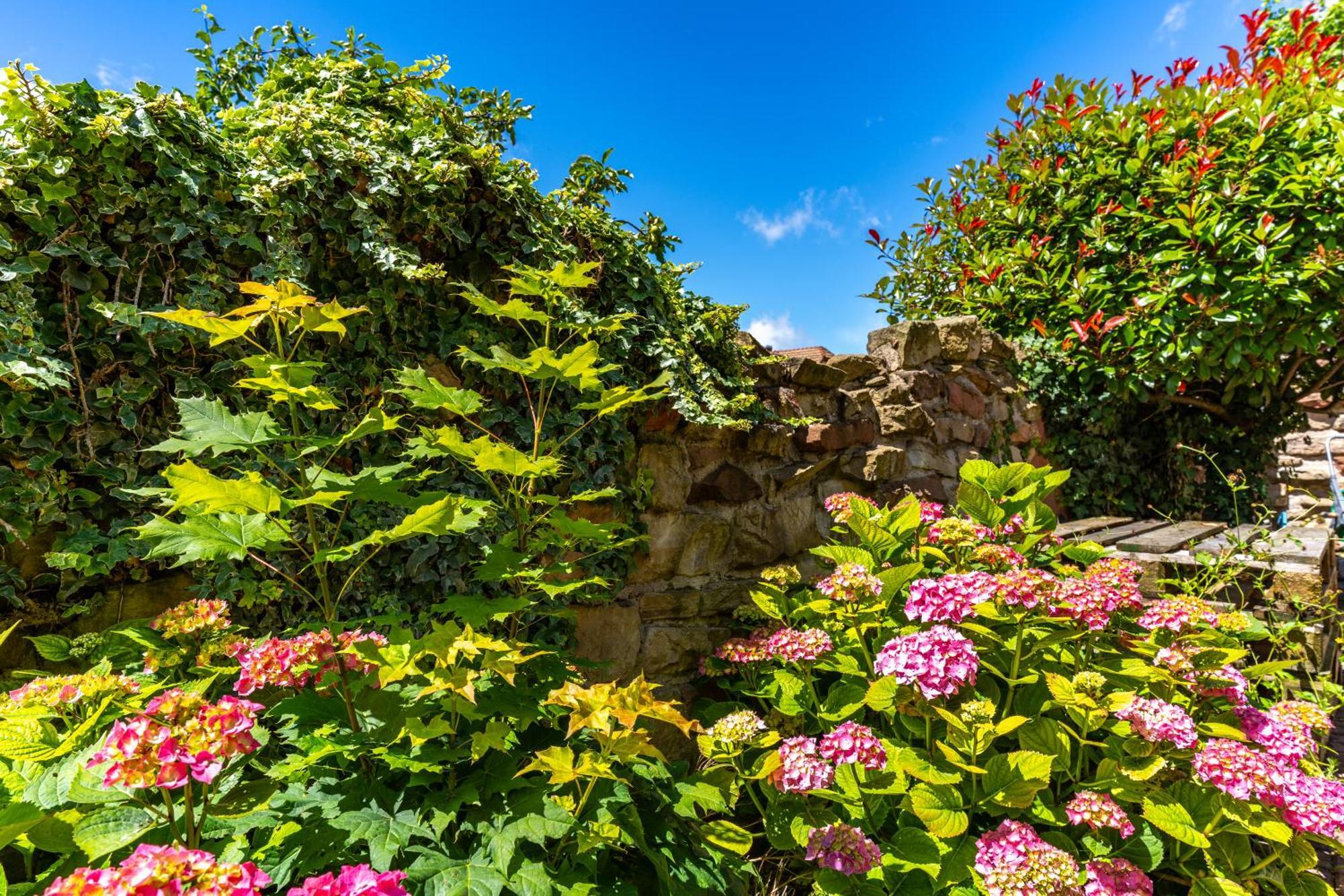 Le Gite 'Humulus' Bilwisheim Extérieur photo